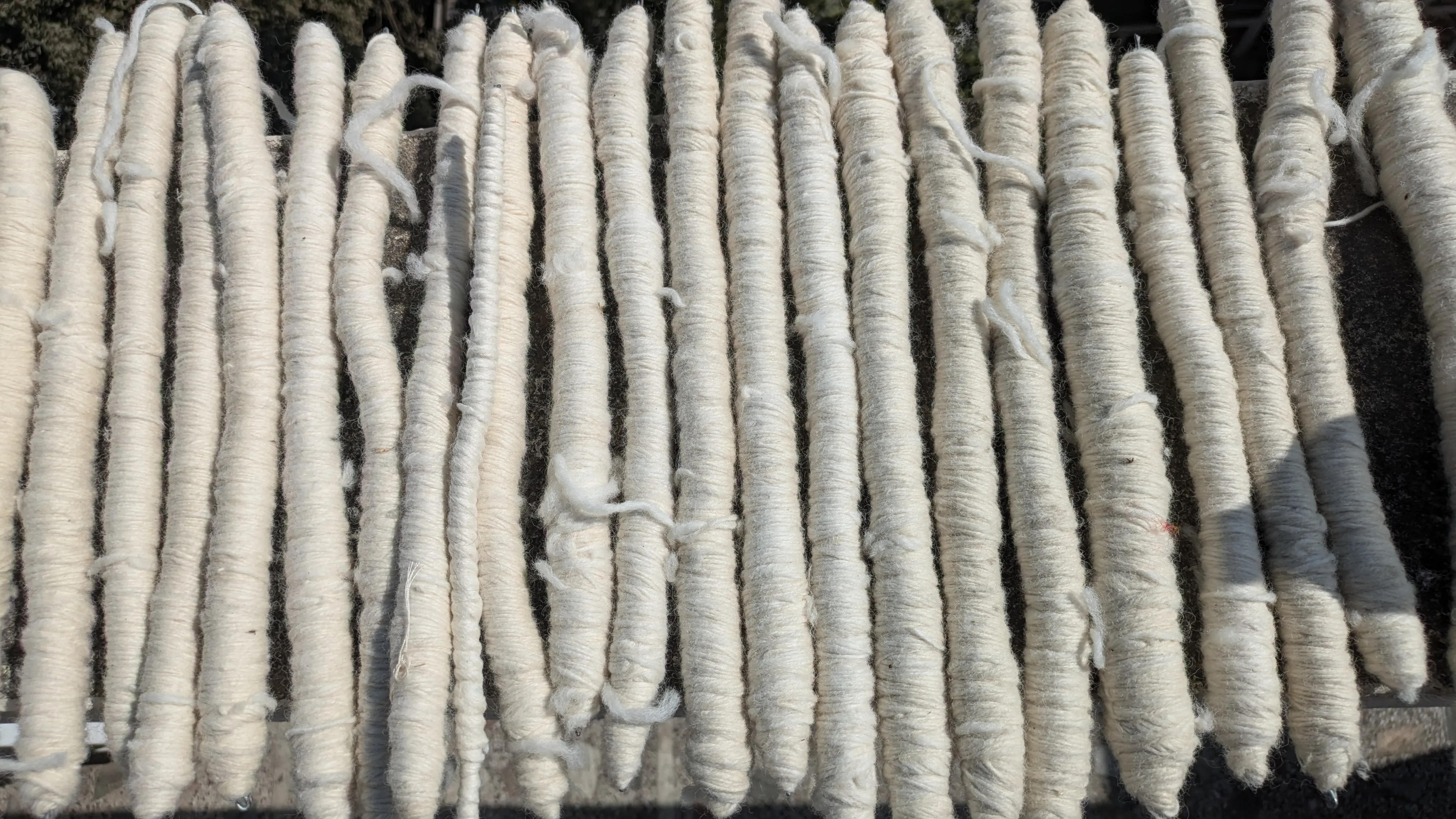 Descriptive Alt Text